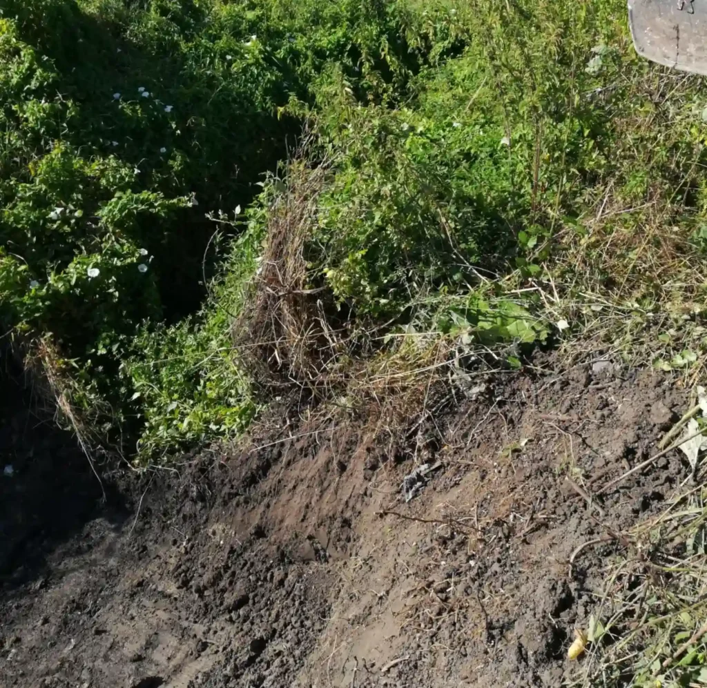 vente terre végétale Saintes