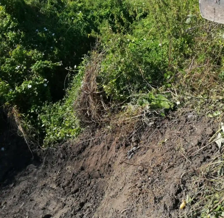 vente terre végétale Saintes