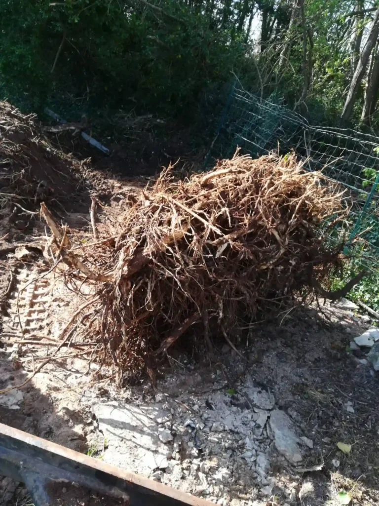 entreprise terrassement Charente-Maritime