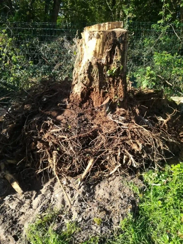 broyage criblage Royan