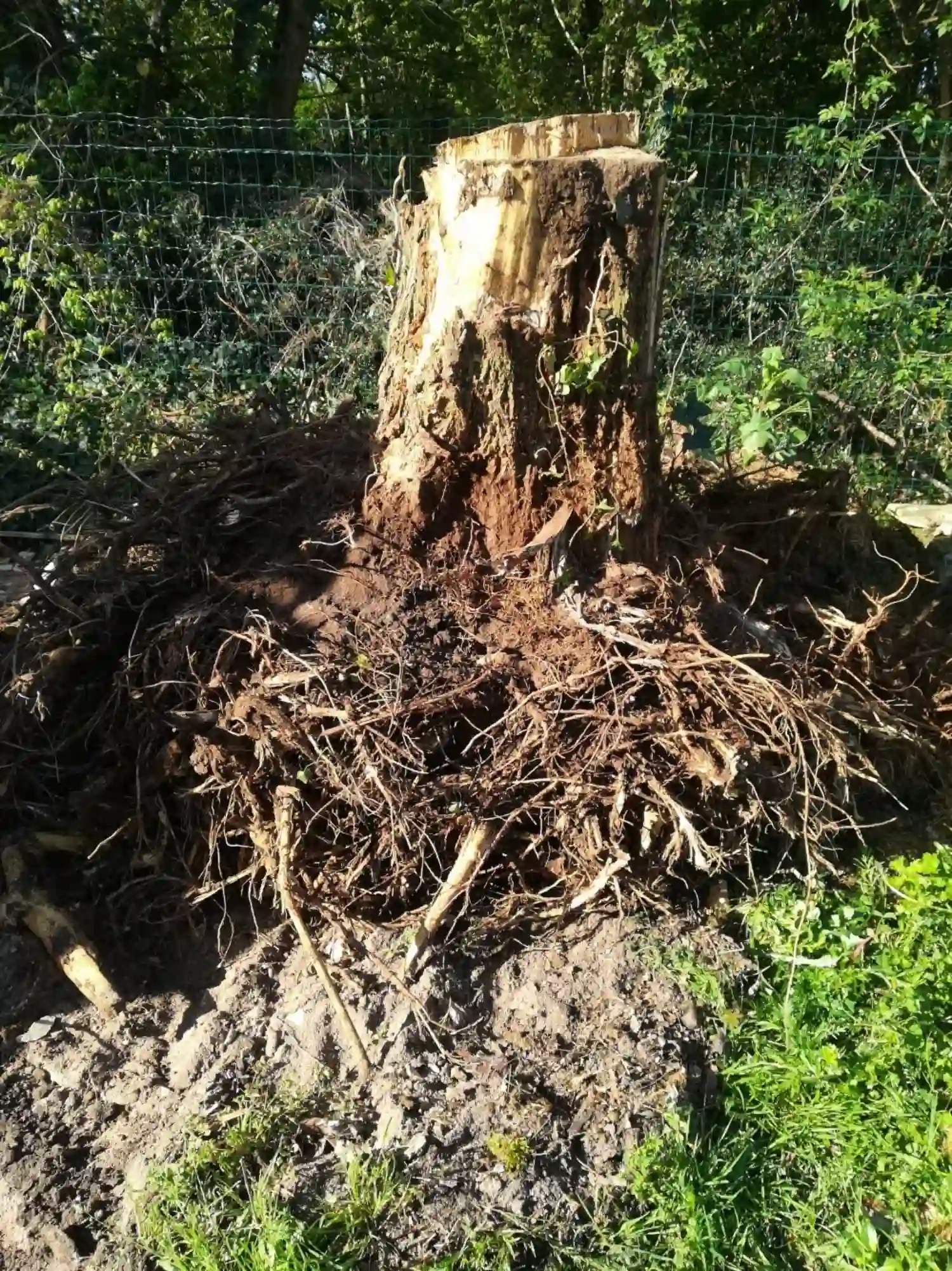 broyage criblage Royan