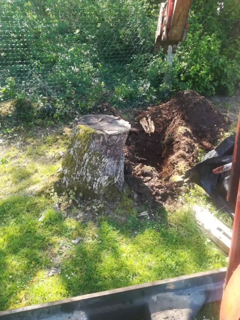 terrassement assainissement Charente-Maritime