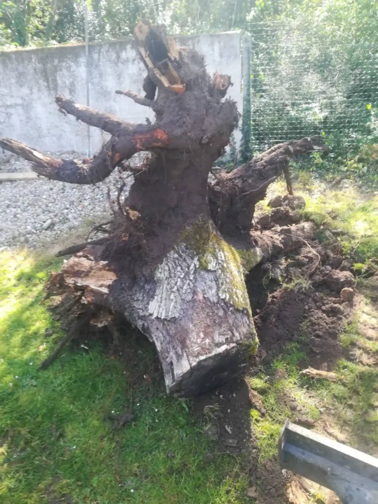 vente terre végétale Saintes